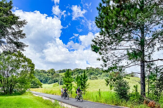 Self Guide E Bike Tour - Husk Distillery, Rainforest & Rail Trail - Starting at Mooball with the right gear
