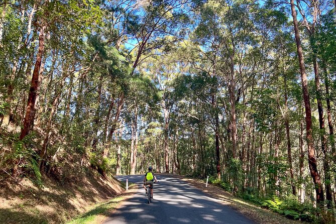 Self Guide E Bike Tour - Husk Distillery, Rainforest & Rail Trail - Burringbar, the best village stop