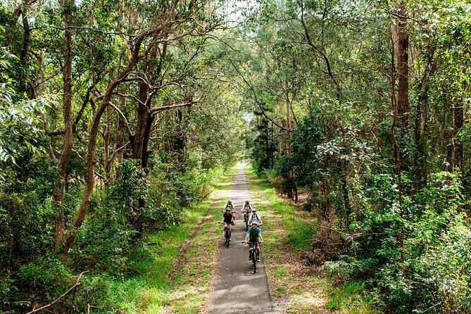 Self Guide E Bike Tour - Husk Distillery, Rainforest & Rail Trail - Dunbible Creek and the railway bridge
