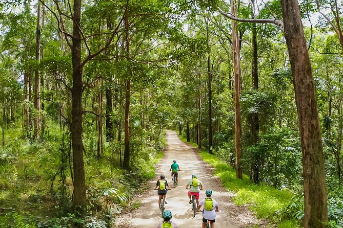 Self Guided E Bike Tour - Unicorn Falls, Rainforest & Rail Trail - Key points to know before you book