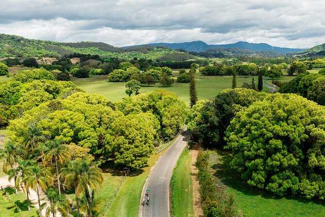 Self Guided E Bike Tour - Unicorn Falls, Rainforest & Rail Trail - From Mooball to the Northern Rivers Rail Trail