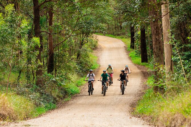 Self Guided E Bike Tour - Unicorn Falls, Rainforest & Rail Trail - Downhill riding and Main Arm