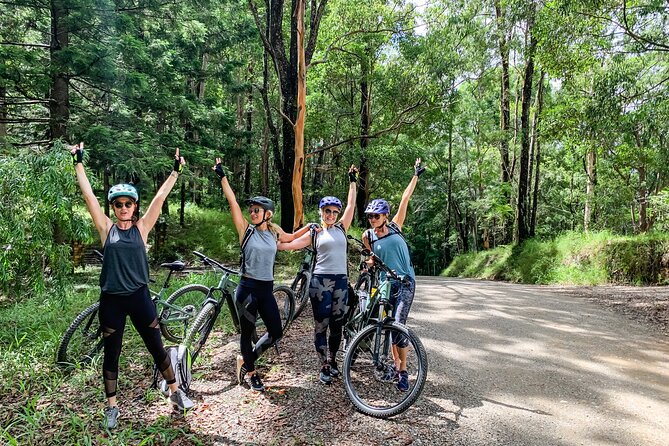 Self Guided E Bike Tour - Unicorn Falls, Rainforest & Rail Trail - The Pocket and the final miles