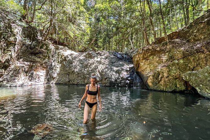 Self Guided E Bike Tour - Unicorn Falls, Rainforest & Rail Trail - Climbing toward Unicorn Falls