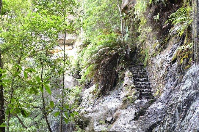 Self Guided Electric Bicycle Tour of Bundanoon - Price, timing, and physical demands