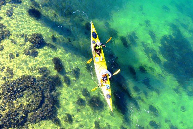 Self-Guided Sydney Middle Harbour Kayak 3 Hour Tour by Double Kayak - Why Middle Harbour makes a better paddle than a city harbor loop
