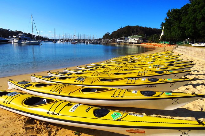 Self-Guided Sydney Middle Harbour Kayak 3 Hour Tour by Double Kayak - Beaches, mangroves, and old wrecks along the way