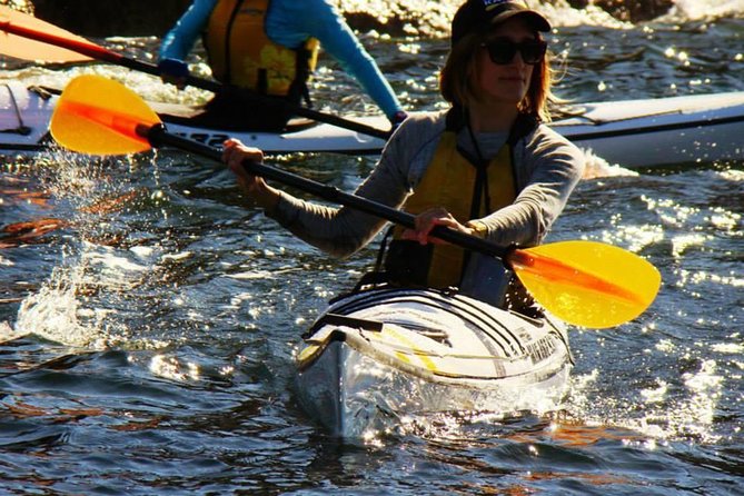 Self-Guided Sydney Middle Harbour Kayak 3 Hour Tour by Single Kayak - Paddling past boats and into quieter bays
