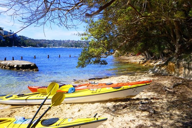 Self-Guided Sydney Middle Harbour Kayak 3 Hour Tour by Single Kayak - Who will enjoy this independent paddle