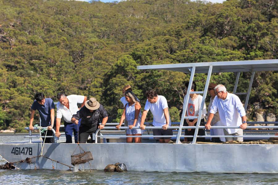 Shell to Showroom - Sydney's only Pearl Farm Experience - Why this Mooney Mooney experience is different