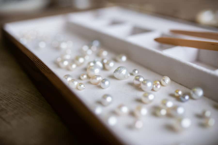 Shell to Showroom - Sydney's only Pearl Farm Experience - The boat trip along the lower Hawkesbury