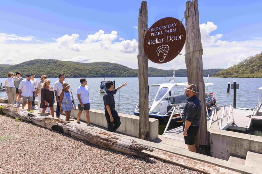 Shell to Showroom - Sydney's only Pearl Farm Experience - Oyster farming and the value of the working lease