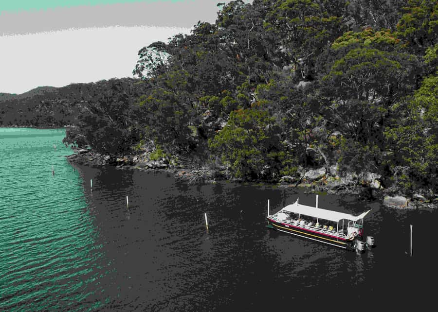 Shell to Showroom - Sydney's only Pearl Farm Experience - Booking flexibility and the final shopping stop