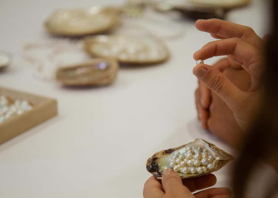 Shell to Showroom - Sydney's only Pearl Farm Experience - Should you book Broken Bay Pearl Farm?
