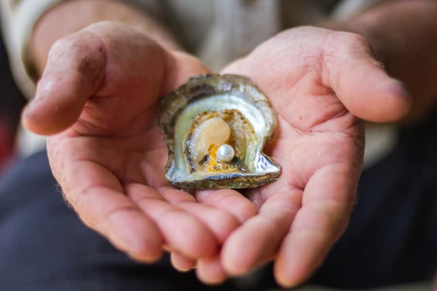 Shell to Showroom - Sydney's only Pearl Farm Experience - Inside the Pearl Room: learning how value is judged