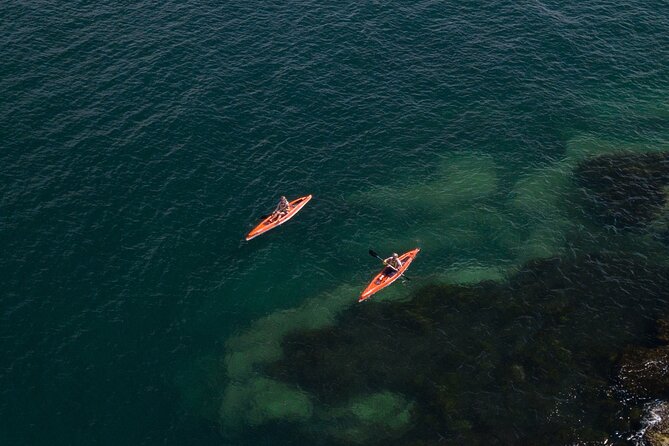 Single Kayak Hire - 4 Hours - Your First Paddle Across North Harbour