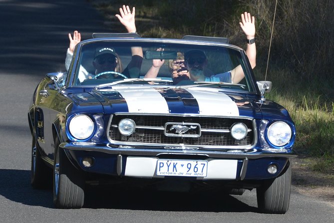 Six-Bridges-of-Sydney-Vintage-Car-Ride-Experience - The cars are the main attraction, not just transportation