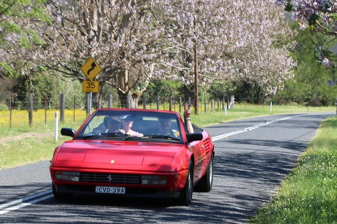 Six-Bridges-of-Sydney-Vintage-Car-Ride-Experience - Who will enjoy the one-hour route most