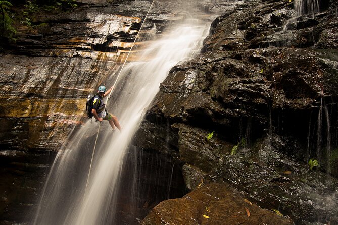 Small-Group Full-Day Rock Climbing Adventure from Katoomba - What the $179.31 price includes