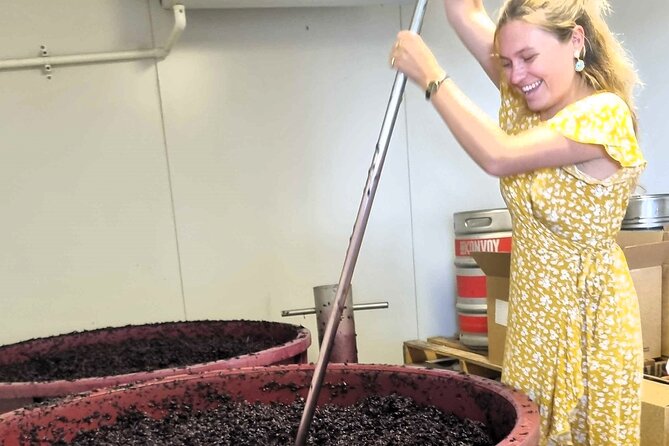 Small Group Hunter Valley Wine Tour + Lunch, Gin & Choc ex Sydney - Three wineries and a behind-the-scenes look