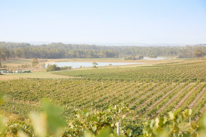 Small Group Hunter Valley Wine Tour w Lunch, Gin, Cheese & Choc - Cheese and chocolate: good additions, but know what to expect