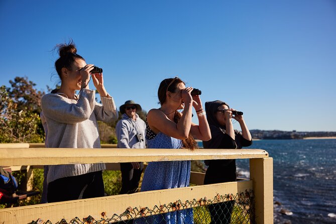 Small Group Manly Snorkel Tour and Nature Walk with Local Guide - The value of a group capped at eight
