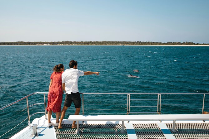 Small Group Port Stephens + Dolphins + 4WD/sandboarding ex Sydney - Why this Port Stephens day trip works