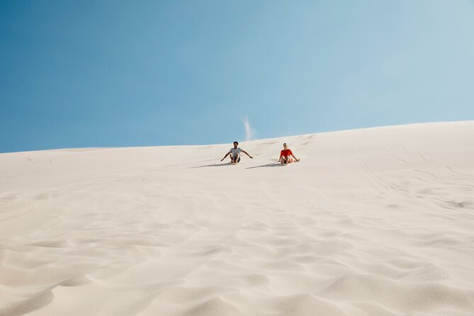 Small Group Port Stephens + Dolphins + 4WD/sandboarding ex Sydney - 4WD transfer and sandboarding at Stockton Beach