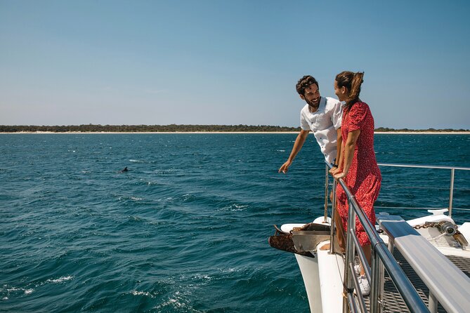 Small Group Port Stephens + Dolphins + 4WD/sandboarding ex Sydney - Dolphin watching from Moonshadow-TQC Cruises