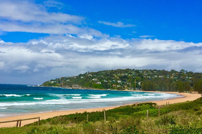 Small-Group Sydney's Northern Beaches & Ku-ring-gai Park Tour - Long Reef Point and whale-watching season