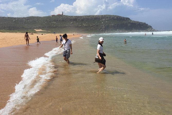 Small-Group Sydney's Northern Beaches & Ku-ring-gai Park Tour - Manly Beach and the return ferry