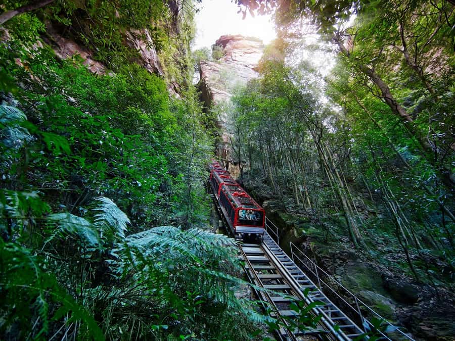 Small Group: Zoo, Blue Mountains, Scenic World Mandarin Tour - Is $147 good value?