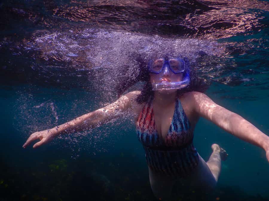 Snorkel Sydney’s Stunning Marine Reserve on a Private Tour - The 15-minute safety briefing and gear fitting