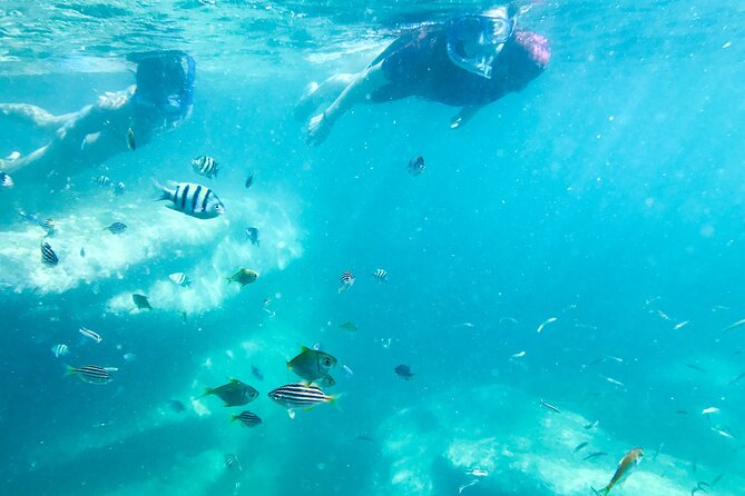 Snorkeling Adventure for Kids with Private Guide In Sydney - Equipment for children and adults