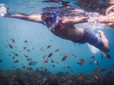 Snorkeling Tour: Discover Sydney’s impressive sea life
