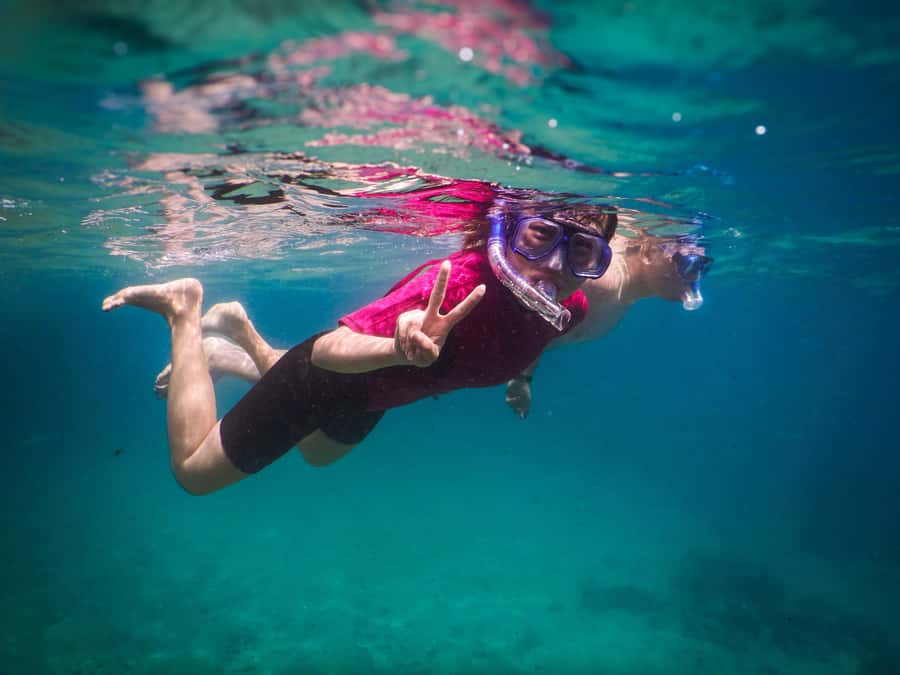 Snorkeling Tour: Discover Sydney’s impressive sea life - The value of the guide and the small group