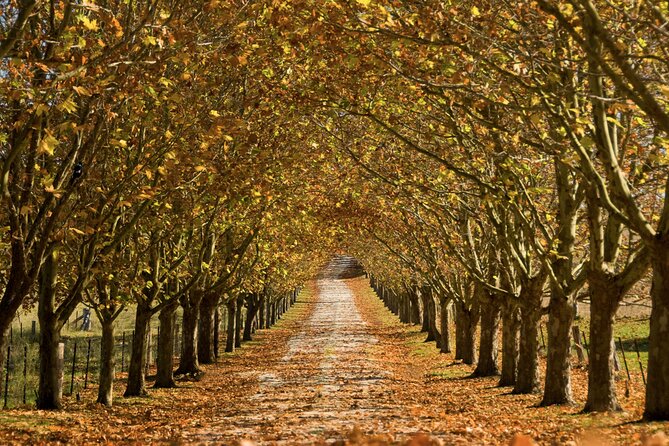 Southern Highlands Private Tour with Wine, Waterfall and Garden - Leaving Sydney for the Southern Highlands