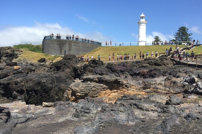 Southern Highlands & South Coast Private Tour From Sydney - How good is the private transport?