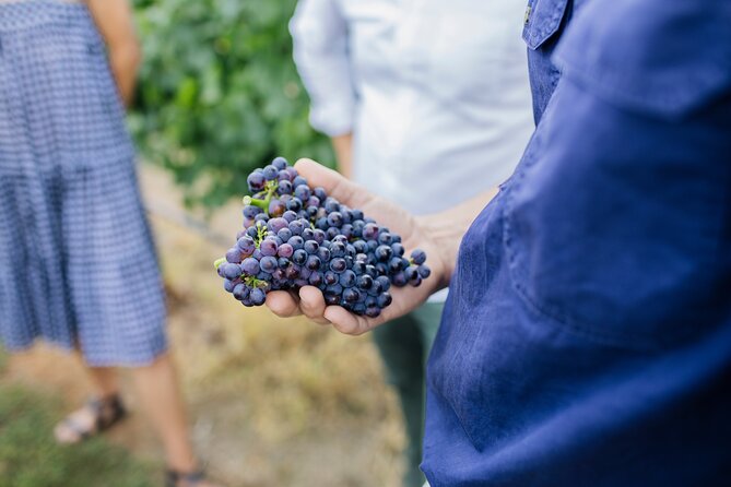 Sparkling Masterclass with Vineyard Tour and 4 Course Lunch - Following the wine from base wine to bottle