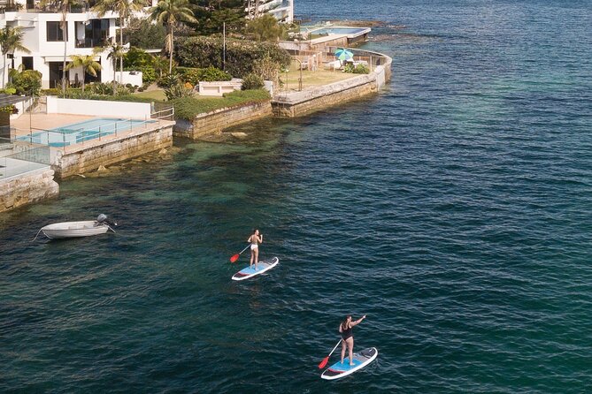 Stand Up Paddle Board Hire - 2 Hours - Starting beside Manly Wharf