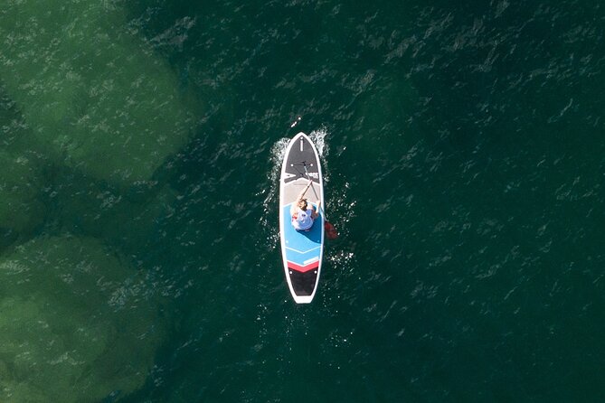 Stand Up Paddle Board Hire - 2 Hours - Paddling the moored yachts and North Harbour