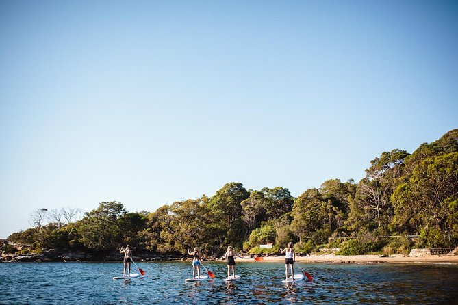 Stand Up Paddle Board Hire - 2 Hours - What makes the location worth your time