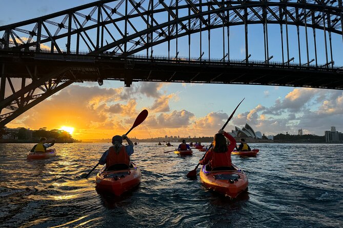 Sunrise Paddle Session on Syndey Harbour (single kayak) - Key points at a glance