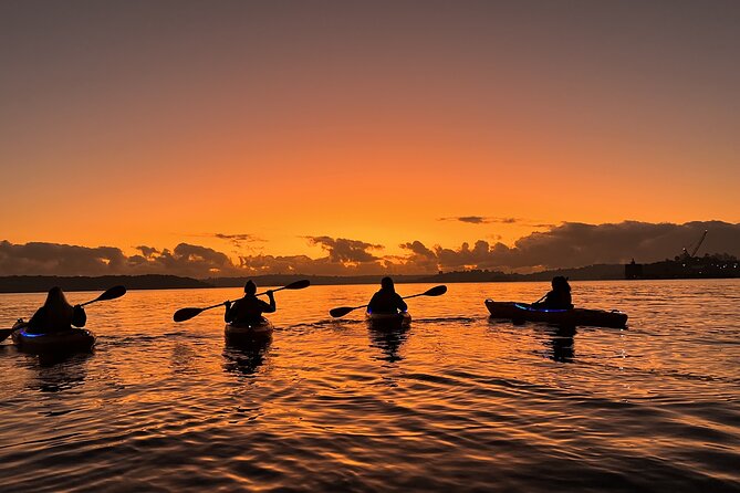 Sunrise Paddle Session on Syndey Harbour (single kayak) - The Opera House photo stop