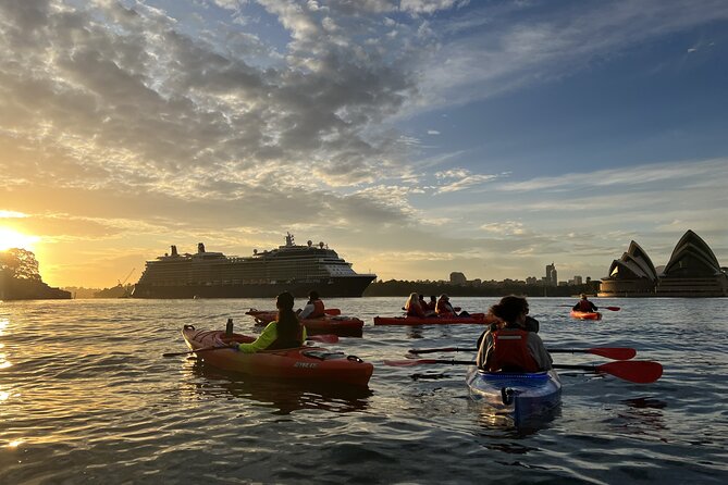 Sunrise Paddle Session on Syndey Harbour (single kayak) - What the $128.39 price gets you