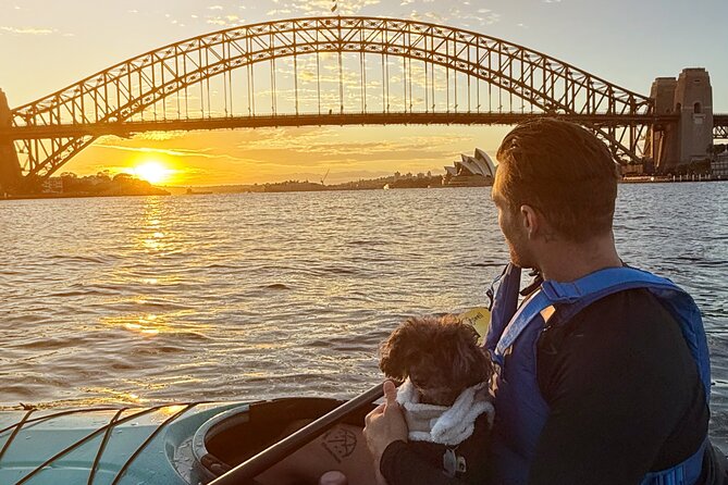Sunrise Serenity Kayak Tour of Sydney Harbour - Why sunrise is the right time for Sydney Harbour