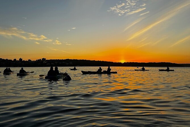 Sunrise Serenity Kayak Tour of Sydney Harbour - Who will enjoy this tour most