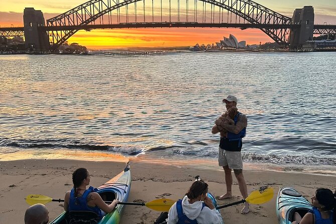 Sunset Harbour Bridge Kayak Escape - What the Guide Adds to a Short Tour