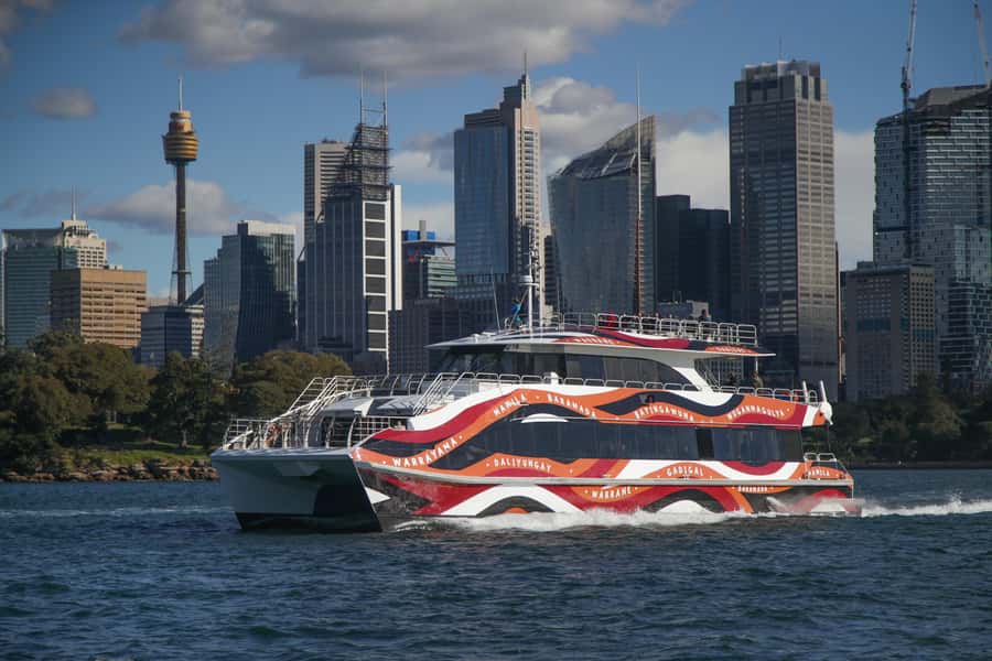 Sydney: 2-hour Express Whale Watching Cruise - Dolphins, seals, and the bonus sightings