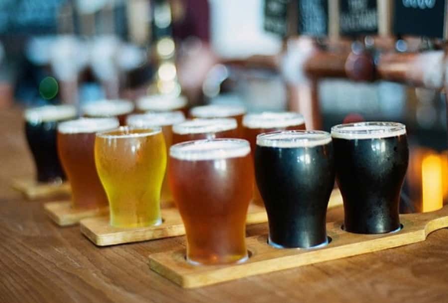 Sydney: 3-Hour Craft Beer and Breweries Tour - Learning through taste, touch, and smell